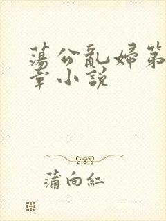 荡公乱妇第51章小说