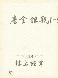 老金银瓶1-5封面