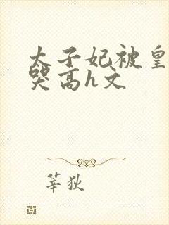 太子妃被皇上c哭高h文