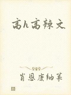 高h高辣文