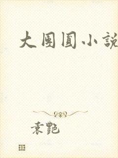 大团圆小说