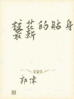 校花的贴身高手最新