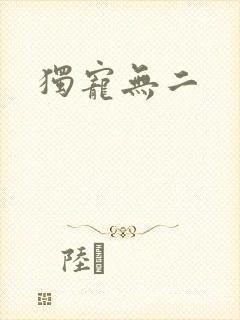 独宠无二封面