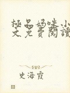极品妈咪小说全文免费阅读
