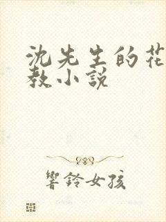 沈先生的花式管教小说