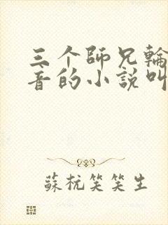 三个师兄轮流上音的小说叫什么