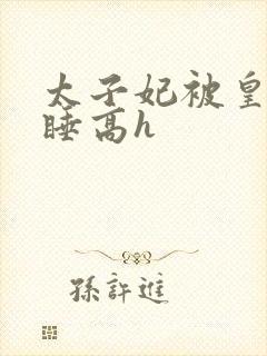 太子妃被皇上强睡高h封面