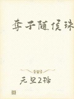 夺子随侯珠