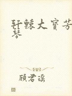 轩辕大宝芳菲雅琴