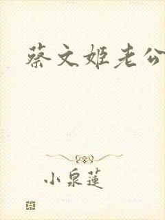 蔡文姬老公