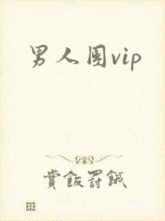 男人团vip