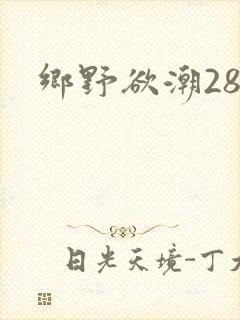 乡野欲潮28章