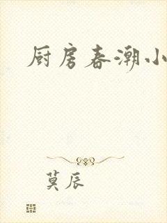 厨房春潮小说封面