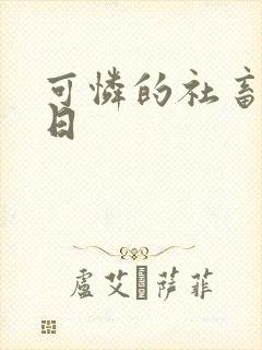 可怜的社畜东度日