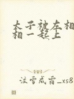 太子被左相和右相一起上