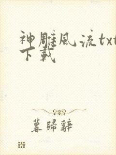 神雕风流txt下载