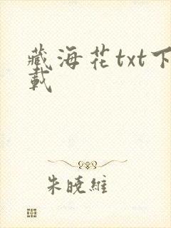 藏海花txt下载