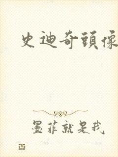 史迪奇头像