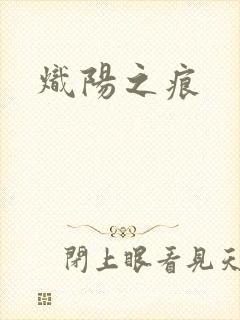炽阳之痕封面