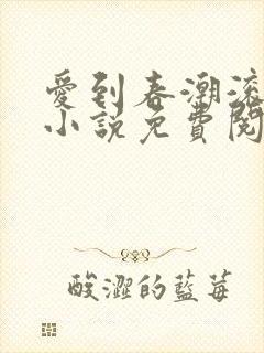 爱到春潮滚滚来小说免费阅读