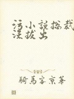 污小说总裁整夜没拔出