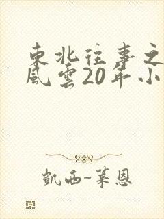 东北往事之黑道风云20年小说