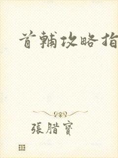 首辅攻略指南