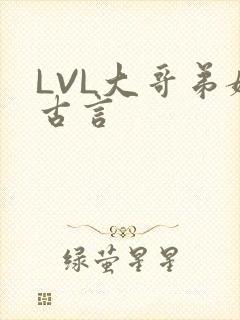 LVL大哥弟媳古言