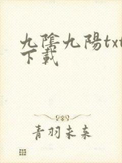 九阴九阳txt下载封面