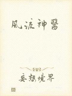 风流神医封面