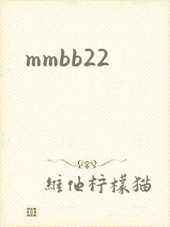 mmbb22封面