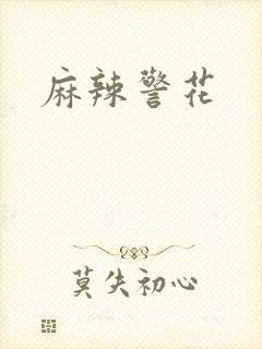 麻辣警花