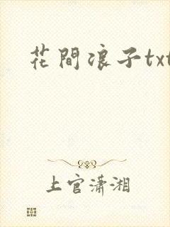 花间浪子txt