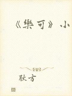 《乐可》小说
