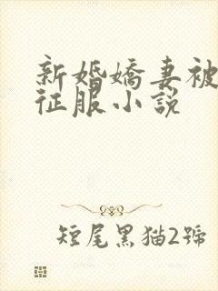 新婚娇妻被巨茎征服小说封面