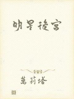 明星后宫封面
