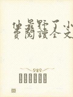 他最野了小说免费阅读全文