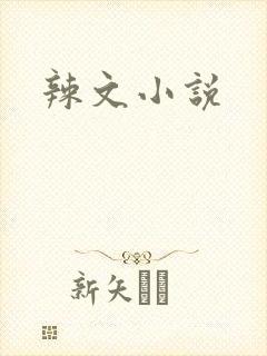 辣文小说封面
