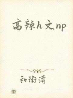 高辣h文np封面