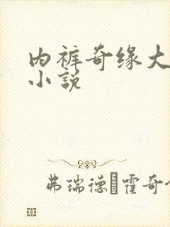 内裤奇缘大团结小说封面