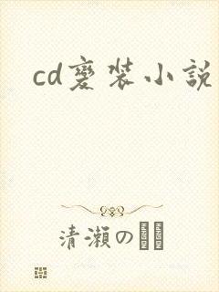 cd变装小说
