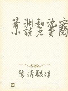 萧渊和沈安安的小说免费阅读