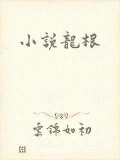 小说龙根