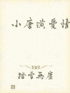 小唐璜爱情历史