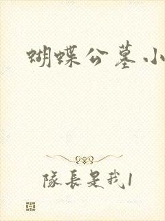 蝴蝶公墓小说