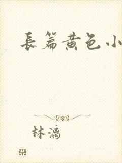 长篇黄色小说
