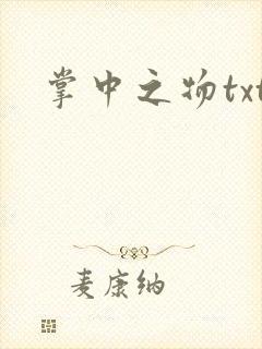 掌中之物txt