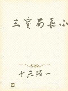 三宝局长小说