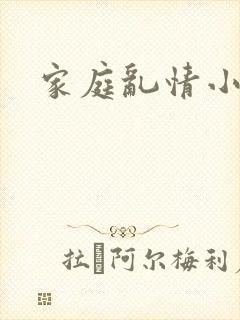家庭乱情小说