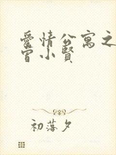 爱情公寓之极品曾小贤封面